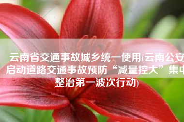 云南省交通事故城乡统一使用(云南公安启动道路交通事故预防“减量控大”集中整治第一波次行动)
