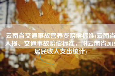 云南省交通事故营养费赔偿标准(云南省人损、交通事故赔偿标准，附云南省2019居民收入支出统计)