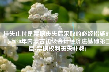 挂失止付是票据丧失后采取的必经措施对吗(2020年内蒙古初级会计经济法基础第三章-票据权利丧失补救)