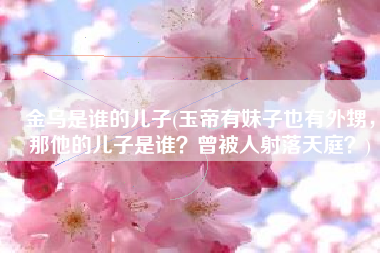 金乌是谁的儿子(玉帝有妹子也有外甥，那他的儿子是谁？曾被人射落天庭？)