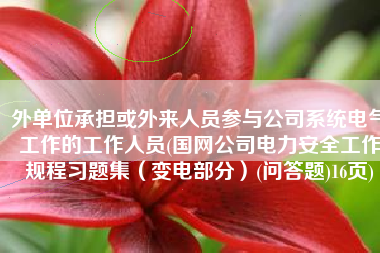 外单位承担或外来人员参与公司系统电气工作的工作人员(国网公司电力安全工作规程习题集（变电部分）(问答题)16页)
