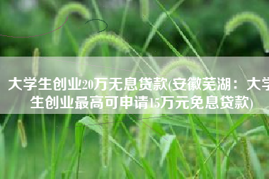 大学生创业20万无息贷款(安徽芜湖：大学生创业最高可申请15万元免息贷款)