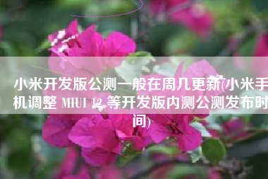 小米开发版公测一般在周几更新(小米手机调整 MIUI 12 等开发版内测公测发布时间)