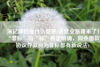 簿记建档是什么意思(资管业新规来了！“非标”与“标”界定明确，同业借款、协议存款何为非标都有新说法)