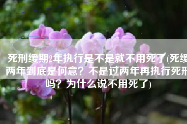 死刑缓期2年执行是不是就不用死了(死缓两年到底是何意？不是过两年再执行死刑吗？为什么说不用死了)