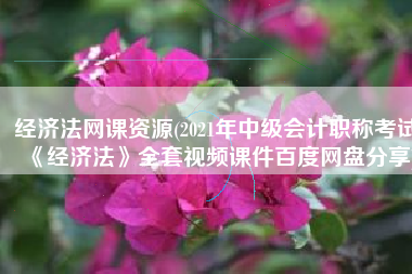 经济法网课资源(2021年中级会计职称考试《经济法》全套视频课件百度网盘分享)