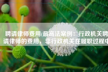聘请律师费用(最高法案例：行政机关聘请律师的费用，非行政机关在履职过程中)