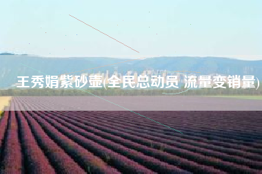 王秀娟紫砂壶(全民总动员 流量变销量)