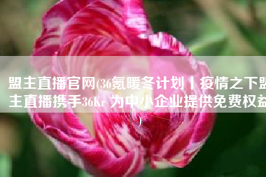 盟主直播官网(36氪暖冬计划丨疫情之下盟主直播携手36Kr 为中小企业提供免费权益)