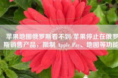 苹果地图俄罗斯看不到(苹果停止在俄罗斯销售产品，限制 Apple Pay、地图等功能)
