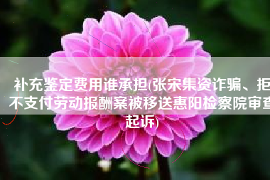 补充鉴定费用谁承担(张宋集资诈骗、拒不支付劳动报酬案被移送惠阳检察院审查起诉)