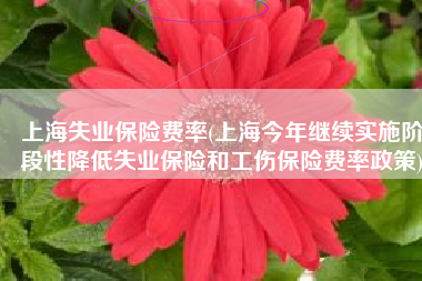 上海失业保险费率(上海今年继续实施阶段性降低失业保险和工伤保险费率政策)