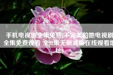 手机电视剧全集免费(不完美的她电视剧全集免费观看 全22集无删减版在线观看地址)