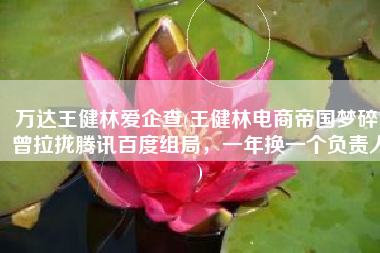 万达王健林爱企查(王健林电商帝国梦碎：曾拉拢腾讯百度组局，一年换一个负责人)