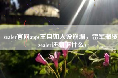 zealer官网app(王自如人设崩塌，雷军撤资，zealer还剩下什么)