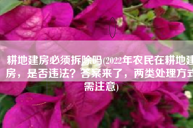 耕地建房必须拆除吗(2022年农民在耕地建房，是否违法？答案来了，两类处理方式需注意)