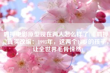 羁押电影原型现在两人怎么样了(《羁押》真实改编：1993年，这两个10岁的孩子，让全世界毛骨悚然)