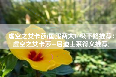 虚空之女卡莎(国服两大T0级下路推荐：虚空之女卡莎+启迪主系符文推荐)