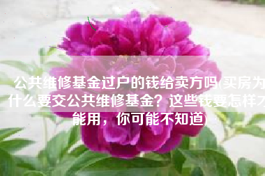 公共维修基金过户的钱给卖方吗(买房为什么要交公共维修基金？这些钱要怎样才能用，你可能不知道)