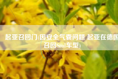 起亚召回门(因安全气囊问题 起亚在德国召回Soul车型)