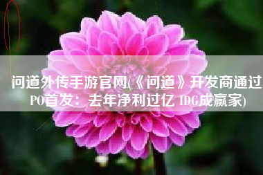 问道外传手游官网(《问道》开发商通过IPO首发：去年净利过亿 IDG成赢家)