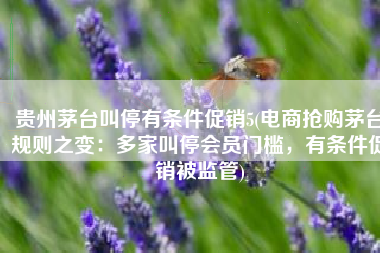 贵州茅台叫停有条件促销5(电商抢购茅台规则之变：多家叫停会员门槛，有条件促销被监管)