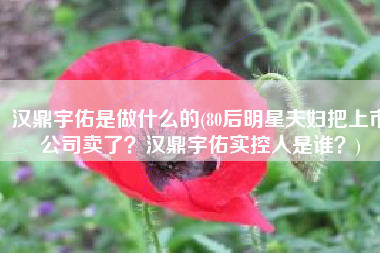 汉鼎宇佑是做什么的(80后明星夫妇把上市公司卖了？汉鼎宇佑实控人是谁？)