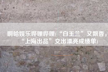 啊哈娱乐哔哩哔哩(“白玉兰”又飘香，“上海出品”交出漂亮成绩单)