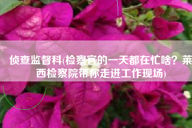 侦查监督科(检察官的一天都在忙啥？莱西检察院带你走进工作现场)