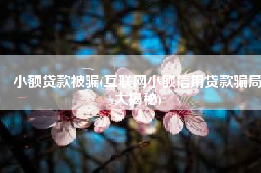 小额贷款被骗(互联网小额信用贷款骗局大揭秘)