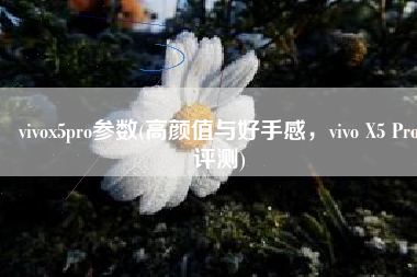 vivox5pro参数(高颜值与好手感，vivo X5 Pro评测)