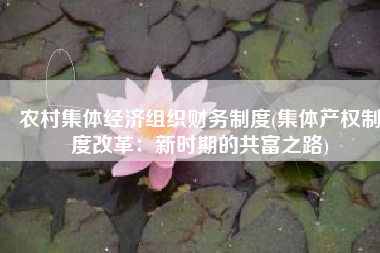 农村集体经济组织财务制度(集体产权制度改革：新时期的共富之路)