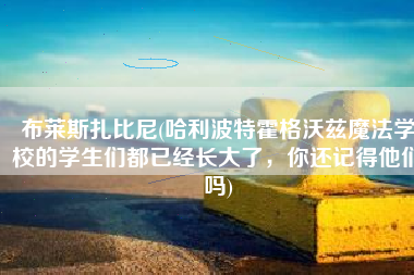 布莱斯扎比尼(哈利波特霍格沃兹魔法学校的学生们都已经长大了，你还记得他们吗)