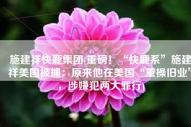 施建祥快鹿集团(重磅！“快鹿系”施建祥美国被捕：原来他在美国“重操旧业”，涉嫌犯两大罪行)