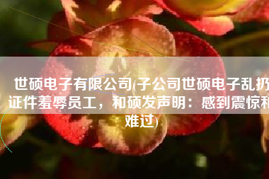 世硕电子有限公司(子公司世硕电子乱扔证件羞辱员工，和硕发声明：感到震惊和难过)