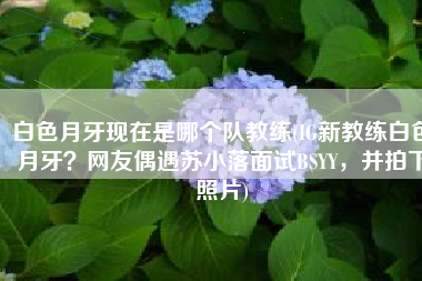 白色月牙现在是哪个队教练(IG新教练白色月牙？网友偶遇苏小落面试BSYY，并拍下照片)