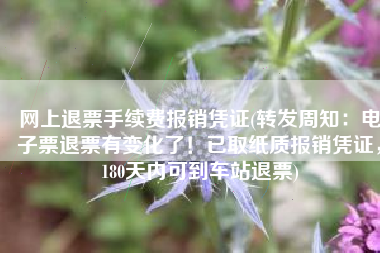 网上退票手续费报销凭证(转发周知：电子票退票有变化了！已取纸质报销凭证，180天内可到车站退票)