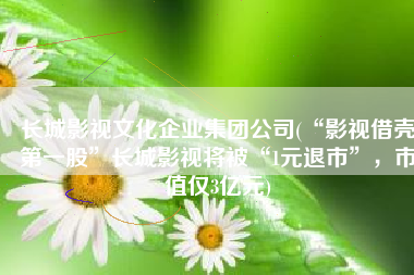 长城影视文化企业集团公司(“影视借壳第一股”长城影视将被“1元退市”，市值仅3亿元)