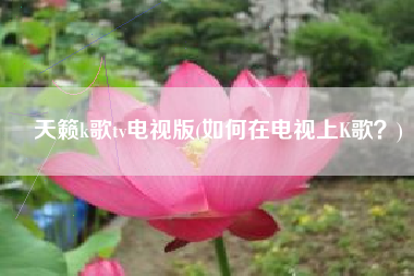 天籁k歌tv电视版(如何在电视上K歌？)