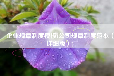 企业规章制度模板(公司规章制度范本（详细版）)