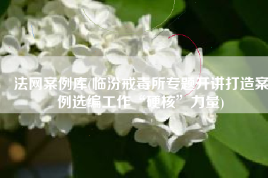 法网案例库(临汾戒毒所专题开讲打造案例选编工作“硬核”力量)