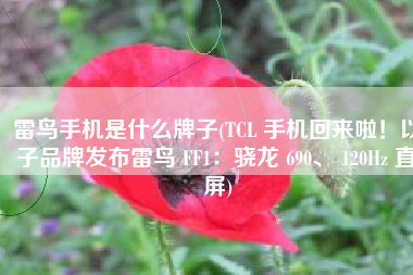 雷鸟手机是什么牌子(TCL 手机回来啦！以子品牌发布雷鸟 FF1：骁龙 690、 120Hz 直屏)