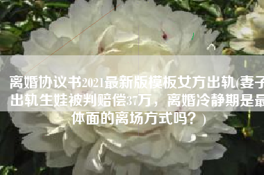 离婚协议书2021最新版模板女方出轨(妻子出轨生娃被判赔偿37万，离婚冷静期是最体面的离场方式吗？)