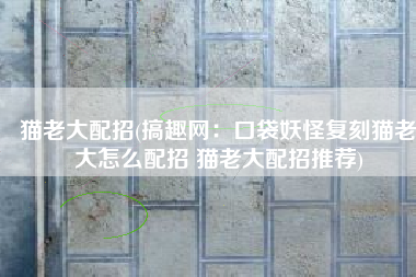 猫老大配招(搞趣网：口袋妖怪复刻猫老大怎么配招 猫老大配招推荐)