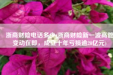 浙商财险电话多少(浙商财险新一波高管变动在即，成立十年亏损逾20亿元)