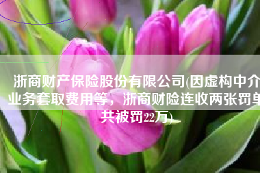 浙商财产保险股份有限公司(因虚构中介业务套取费用等，浙商财险连收两张罚单共被罚22万)