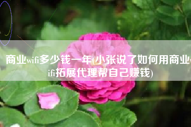 商业wifi多少钱一年(小张说了如何用商业wifi拓展代理帮自己赚钱)
