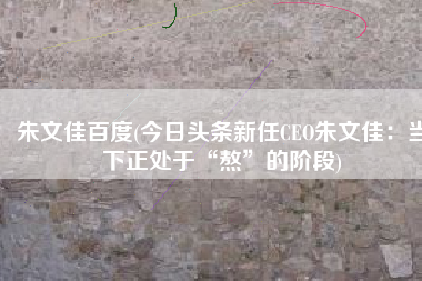 朱文佳百度(今日头条新任CEO朱文佳：当下正处于“熬”的阶段)