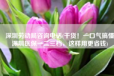 深圳劳动局咨询电话(干货！一口气搞懂深圳医保一二三档，这样用更省钱)