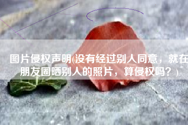 图片侵权声明(没有经过别人同意，就在朋友圈晒别人的照片，算侵权吗？)